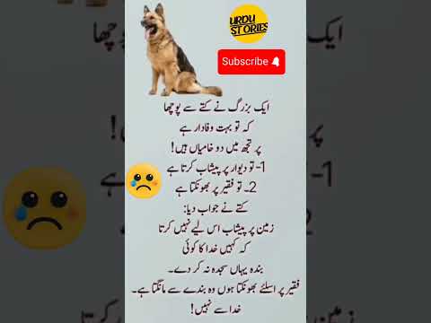 @Urdustoriespoint660#dog #emotional #faqeer#khuda