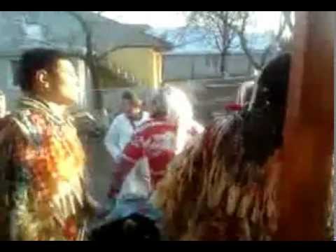 Ursul din Rusenii Noi