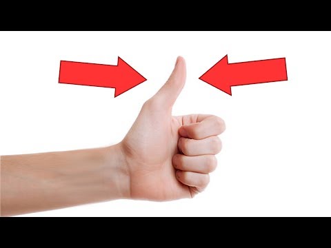 download lagu mp3 mp4 Kilka Numerw O Czym, download lagu Kilka Numerw O Czym gratis, unduh video klip Kilka Numerw O Czym
