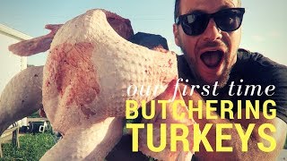 First Time Butchering Turkeys
