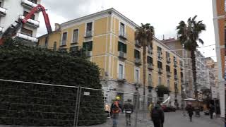 in-corso-le-operazioni-di-montaggio-dell-albero-di-natale