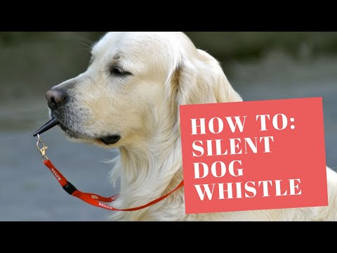 How to use Silent Dog Whistle!