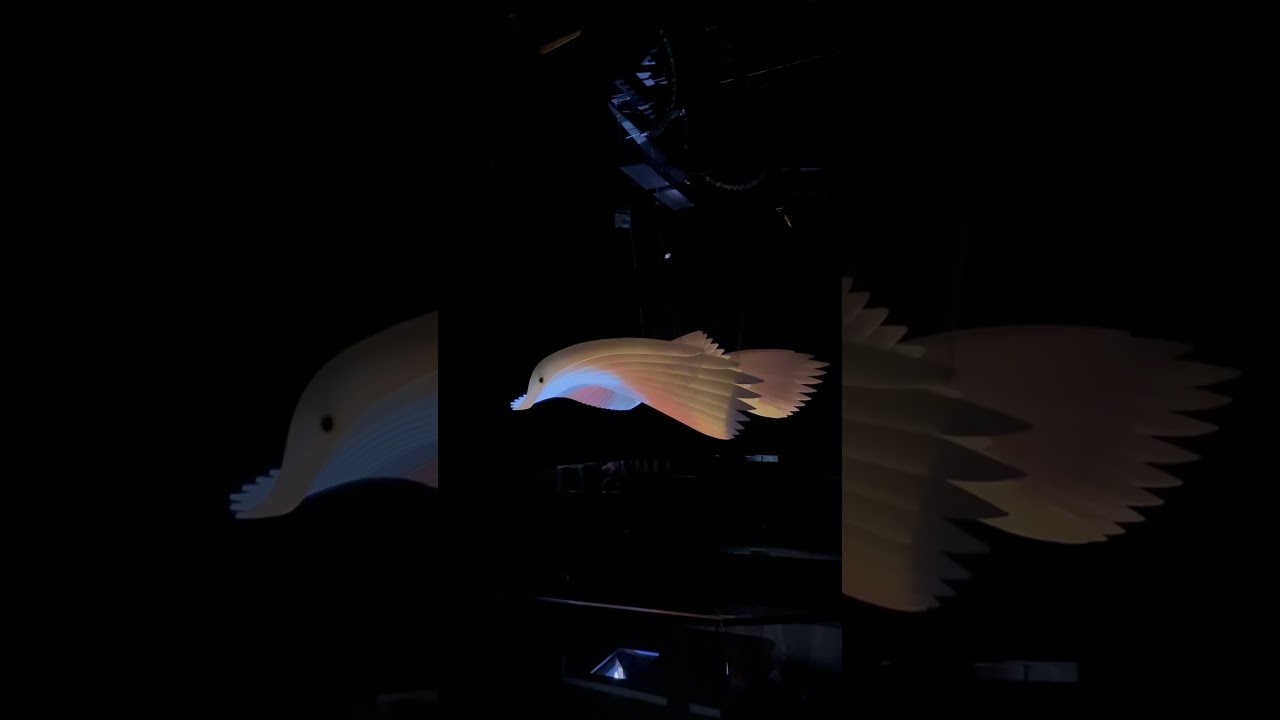 YouTube Short thumbnail