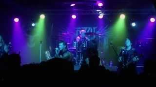 Fozzy - Shine Forever