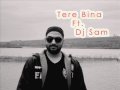 Prabh Gill Bina Tere (Remix) Feat. Dj Sam 
