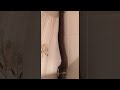 Olive Python Taking a Shower || ViralHog