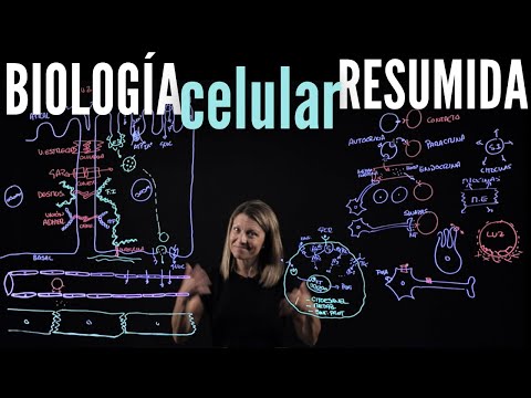💡 BASES de BIOLOGÍA CELULAR 🔬 para afrontar la FISIOLOGÍA 🩺