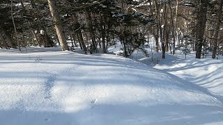 2025シーズン楽しかった場所はここだ！３月編