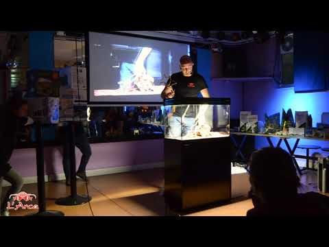 Lezione 7.  Come allestire un acquario