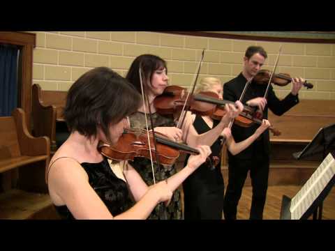 Bach's Brandenburg Concerto No. 5, 3rd movement -- Apollo's Fire