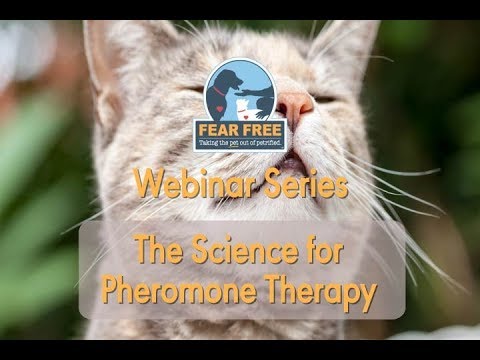 The Science for Pheromone Therapy: Show Me the Evidence