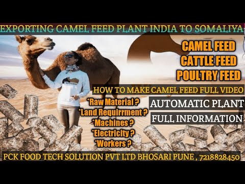 15HP Fully Computerized Cattle Feed Machine