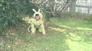 Le matou revient / The cat came back