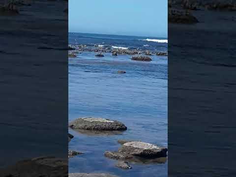 José Ignacio .Maldonado uruguay