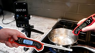 The Alpha Grillers Instant Thermometer is GOOD with QUIRKS