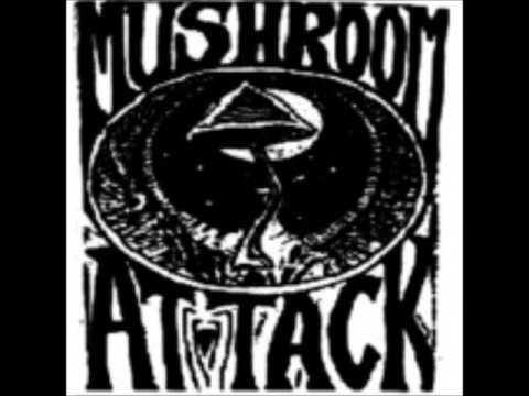 Mushroom Attack - We are happy