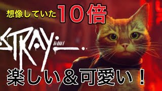 【Stray】ただの10年に一度の鬼可愛い猫の神ゲーを実況
