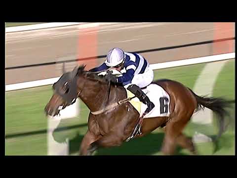 Galoppo 30/11/2020 - 3ª corsa