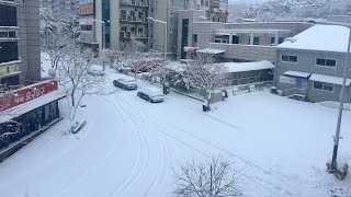 Winter in South Korea | Gyeryong City January Weather