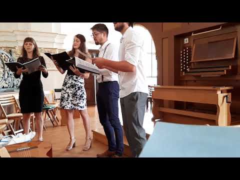 Pravijo, da je ljubezen - vokalna skupina Ad Infinitum - petje na poroki