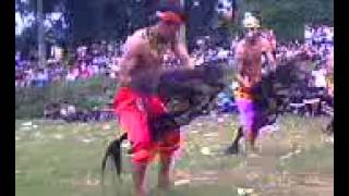 preview picture of video 'Cakra budaya Desa Lemahireng Bawen'