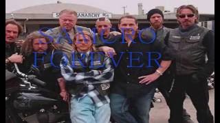 Been Away Too Long - Soundgarden [S.O.A.ver]