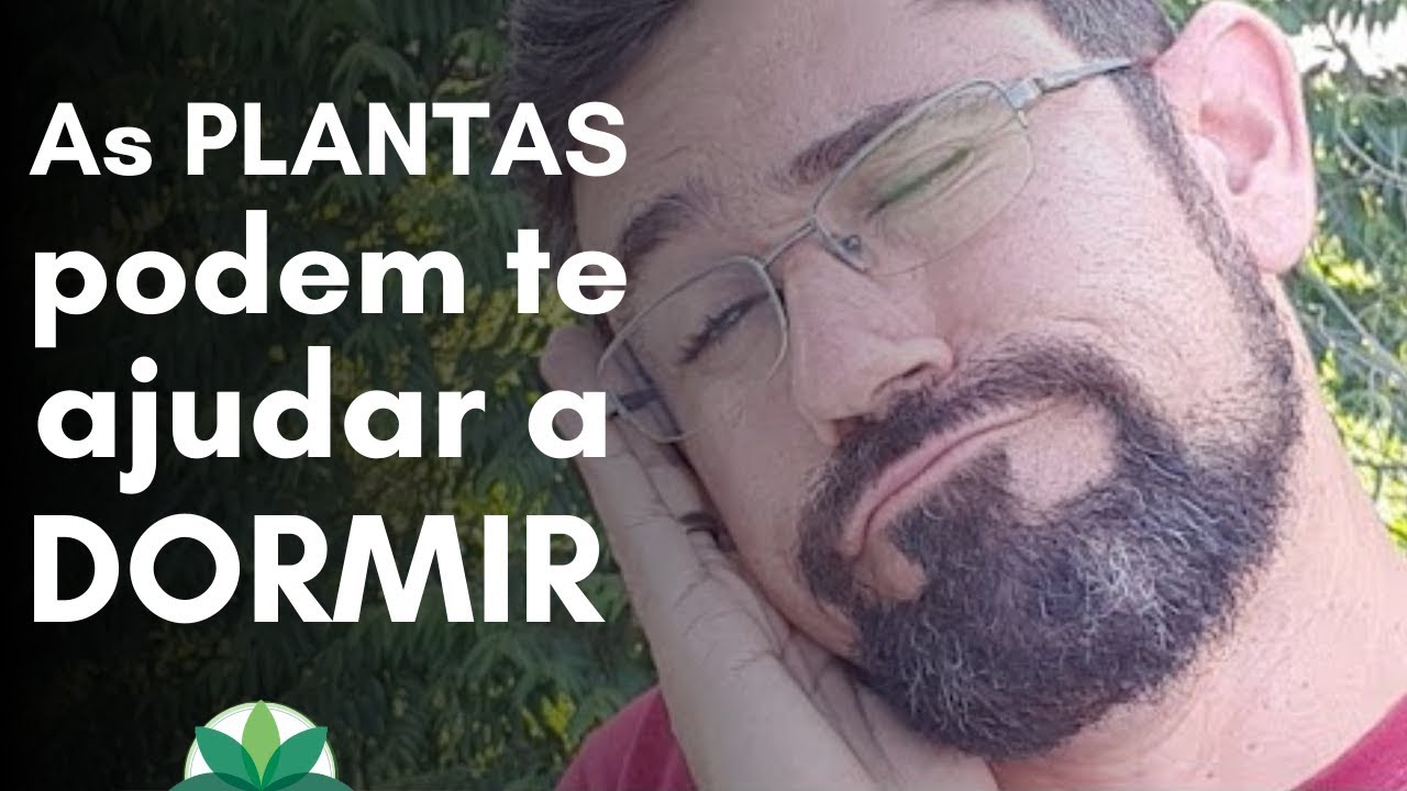 Dormir Bem É Essencial E As Plantas Nos Ajudam!