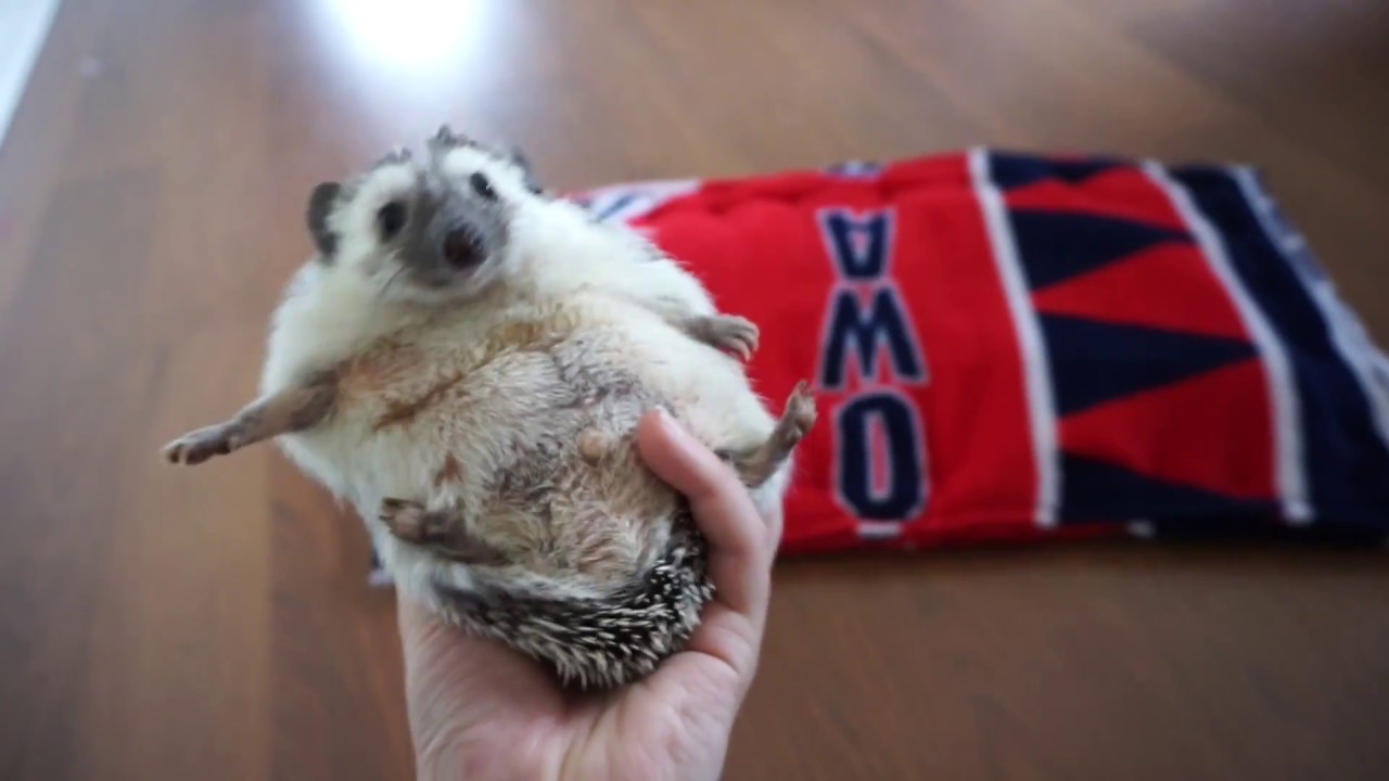 Video cover