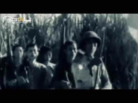 CÔNG TY CỔ PHẦN GOLD AI