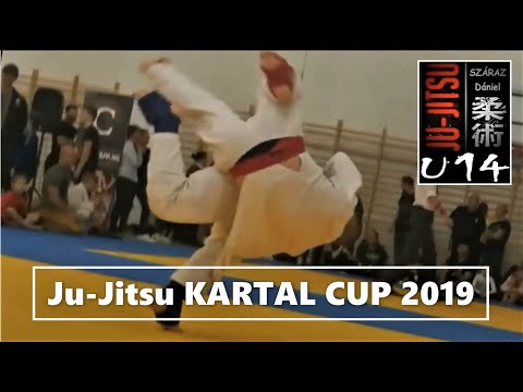 JU-JITSU HIGHLIGHTS | SZÁRAZ Dániel | KARTAL CUP / HUN (2019Oct12) 🥉 #fightingsystem #jiujitsu