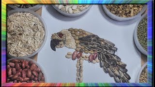 580 Gambar Kolase Biji Bijian Kura Kura Gratis