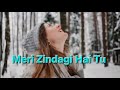 MERI ZINDAGI HAI TU LYRICS ENGLISH AND HINDI SUBTITLES PAKISTAN OST LATEST SONG