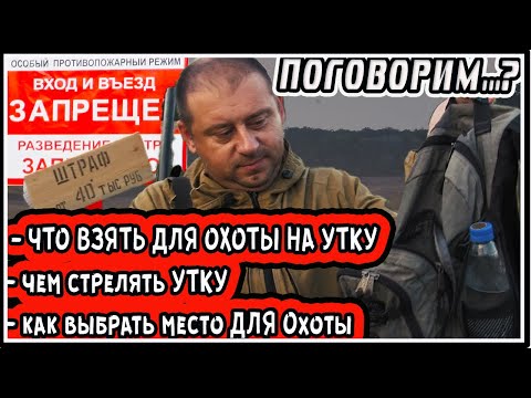 Үйрекке аңшылық: бастаушыларға нұсқаулық