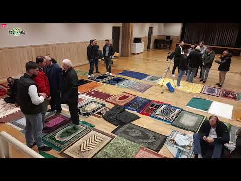 Fiter Bajrami Zvicer 2023