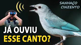 Miniatura do vídeo