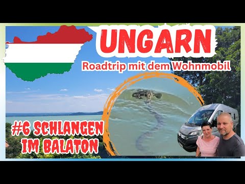 Ungarn - Balaton - da geh ich nicht mehr rein 😱 Kèszthely, Hèviz, Badacsony, Seehöhle Tapolca,