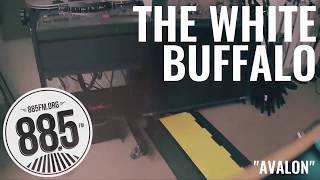 The White Buffalo - Avalon (Live 885FM)