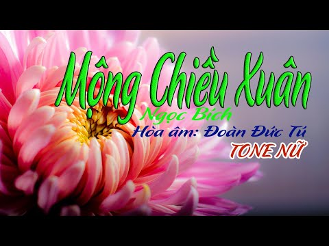 karaoke Mộng Chiều Xuân |tone Nữ|