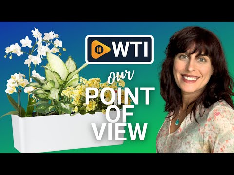 GardenBasix Self Watering Planter Pots - WTI product video review