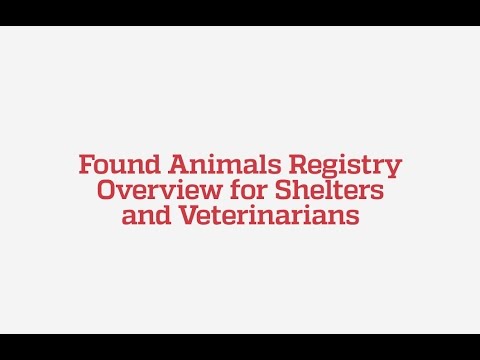 Found Animals Registry Overview for Shelters and Veterinarians