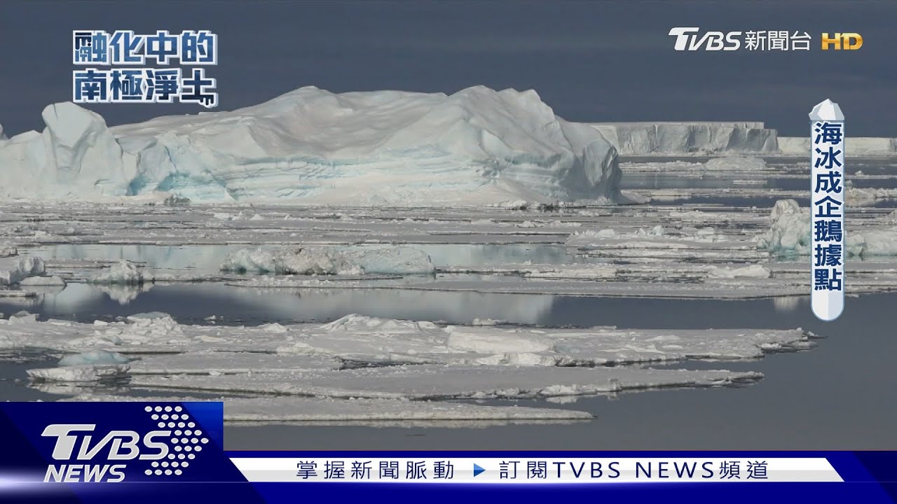 海冰面積退縮創新低紀錄 衝擊企鵝生存