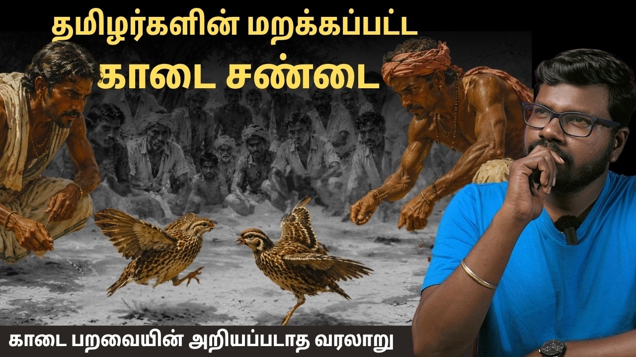 காடை பறவையின்  வரலாறு - Forgotten Ancient Quail Fights | ondriya uyirnam #58 | Big Bang Bogan