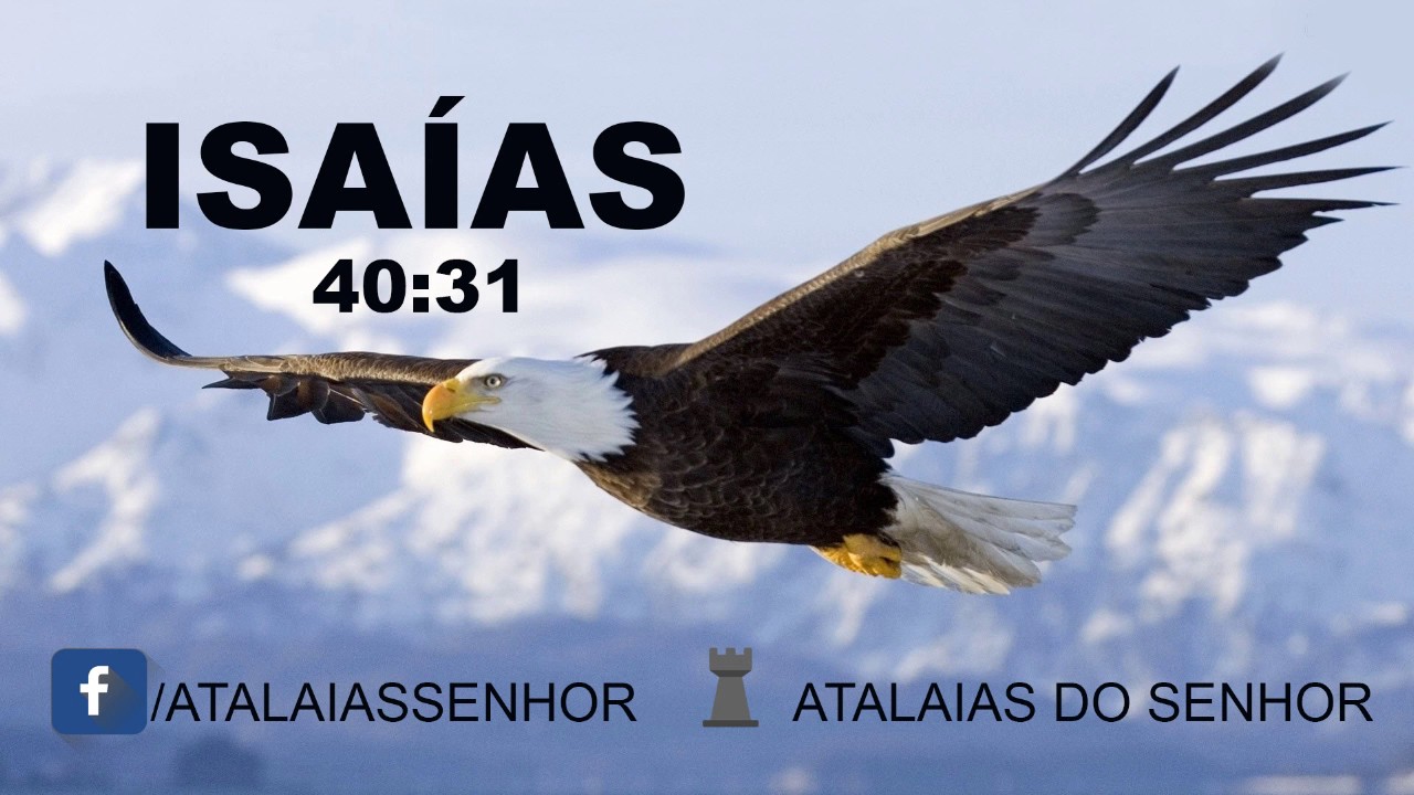 Mas os que esperam no Senhor renovarão as forças.. iSAÍAS 40:31