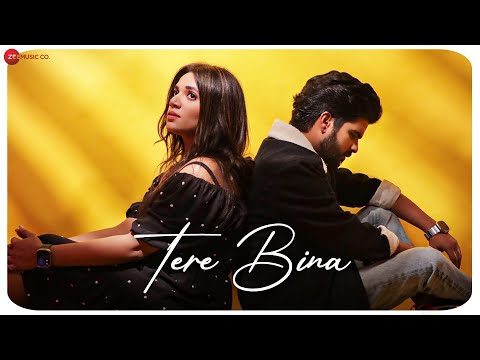 Tere Bina — watch video