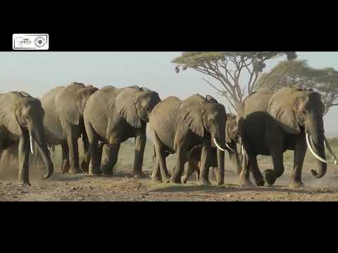 AWT: Botswana 4x4 Overland Adventure