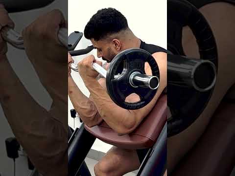 Sketra Scott Bench (ZH40) | Commercial Gym - Sketra