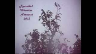 preview picture of video 'Ramallah Heavy Snowfall March 2, 2012'