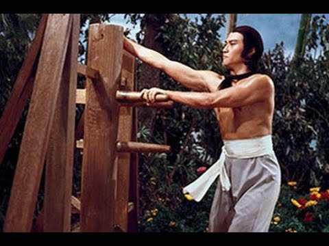 Пять пальцев из стали  (боевые искусства, Хванг Джанг-Ли, 1982 год)