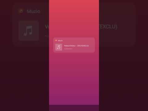 Voleur2voleur  - CDLR