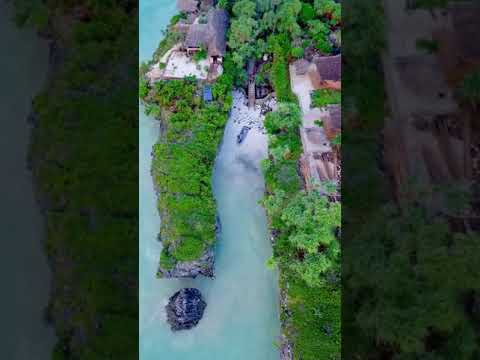 Mtende beach Zanzibar